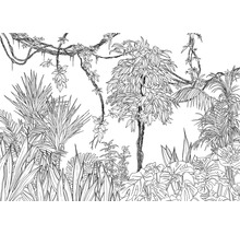 Fototapete Vlies R4-046 Blanca 4-tlg. 400 x 280 cm