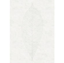Illustration eines Blattskeletts