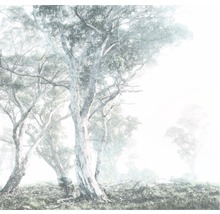 Szene mit Bäumen im Nebel