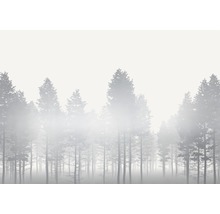 Illustration eines dichten, nebligen Waldes