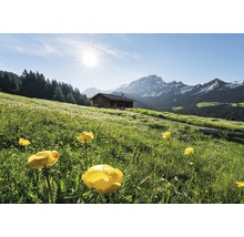 Fototapete Vlies SHX8-003 Alpenglück 8-tlg. 400 x 280 cm