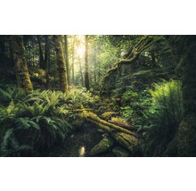 Papier peint panoramique intissé SHX9-028 Elves Cathedral 9 pces 450 x 280 cm