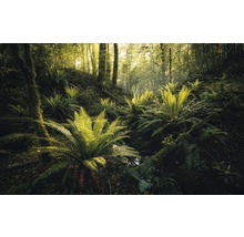Papier peint panoramique intissé SHX9-110 Fjordland Woods 9 pces 450 x 280 cm
