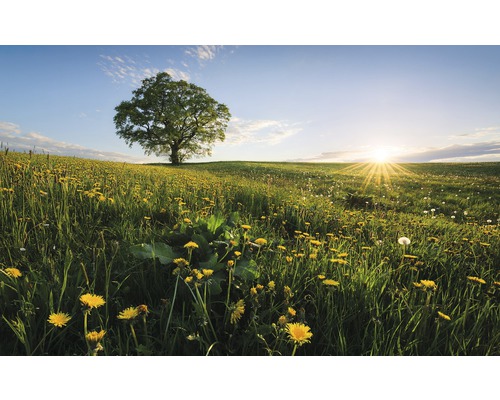 Papier peint panoramique intissé SHX9-034 Printemps dans la campagne 9 pces 450 x 280 cm