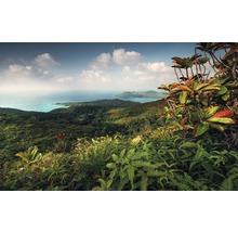 Landschaft mit üppiger Vegetation, Meer und Inseln