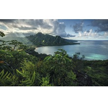 Papier peint panoramique intissé SHX9-117 Jurassic Island 9 pces 450 x 280 cm