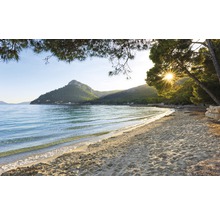 Paysage côtier avec plage et montagnes en arrière-plan