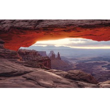 Panorama du parc national de Canyonlands avec formations rocheuses et paysage vaste
