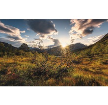 Paysage avec montagnes, prairie et lever du soleil