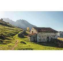 Steinhaus auf einer Wiese mit Bergen im Hintergrund