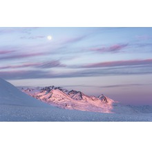 Paysage hivernal avec montagnes enneigées et lune