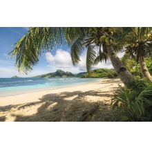 Tropischer Strand mit Palmen und türkisfarbenem Wasser