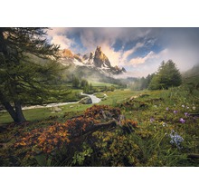 Berglandschaft mit Fluss, Wiesen und Bäumen