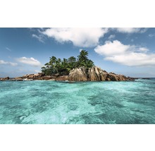 Tropische Insel mit Felsen und Vegetation im Meer