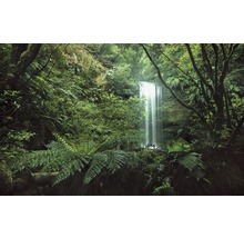 Scène d''une cascade au milieu d''une végétation luxuriante