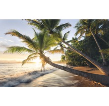 Palmen am Strand bei Sonnenaufgang
