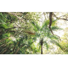 Papier peint panoramique intissé SHX9-128 Touch the Jungle 9 pces 450 x 280 cm
