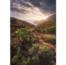Landschaft mit Küste, Hügeln, Wolken und Kakteen