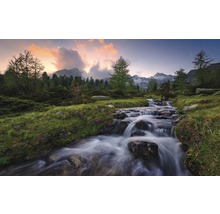 Ruisseau de montagne traversant un paysage verdoyant avec des arbres et des montagnes en arrière-plan