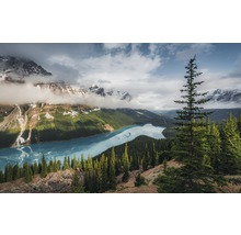 Papier peint panoramique intissé SHX9-098 Wonderland Canada 9 pces 450 x 280 cm