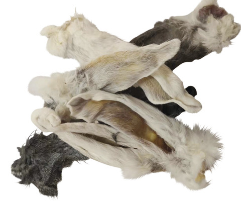 Plusieurs oreilles de lapin comme collation pour chien