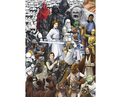 Fototapete Papier 4-4111 Disney Edition 4 Star Wars Classic Cartoon Collage 4-tlg. 184 x 254cm