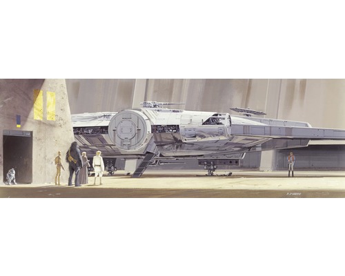 Papier peint panoramique papier 4-4112 Disney Edition 4 Star Wars RMQ Millenium Falcon 4 pces 368 x 127 cm
