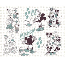 Fototapete Vlies DX7-026 Disney Edition 4 Mickey and Friends 7-tlg. 350 x 280 cm-thumb-0