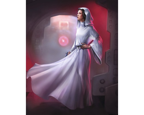 Fototapete Vlies DX4-046 Disney Edition 4 Star Wars Classic Leia 4-tlg. 200 x 250 cm