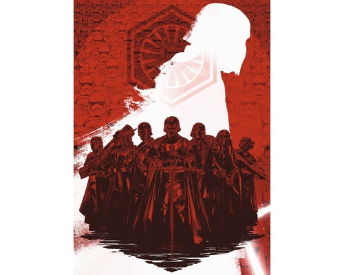 Papier peint panoramique intissé DX4-076 Disney Edition 4 Star Wars Supreme Leader 4 pces 200 x 280 cm