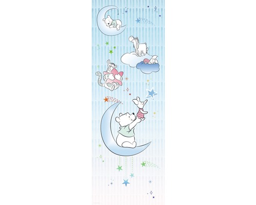 Papier peint panoramique intissé DX2-082 Disney Edition 4 Winnie l'Ourson Piglet 2 pces 100 x 280 cm