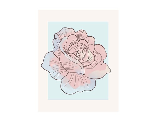 Illustration d''une rose