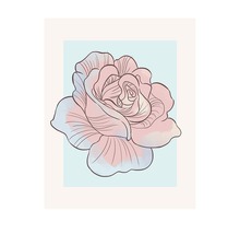 Illustration d''une rose