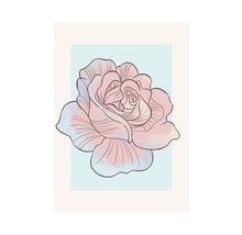 Illustration d''une seule rose