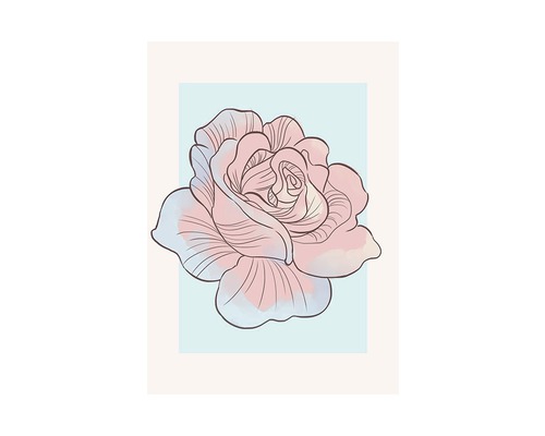 Illustration d''une seule rose