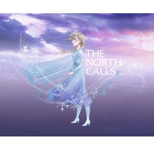 Illustration d''Elsa de La Reine des Neiges avec l''inscription The North Calls