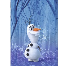 Olaf le bonhomme de neige du film La Reine des neiges