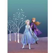 Illustration d''Anna et Elsa de La Reine des Neiges devant un décor d''arbres