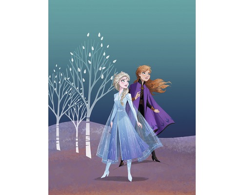 Illustration d''Anna et Elsa de La Reine des Neiges devant un décor d''arbres