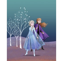 Illustration des personnages Anna et Elsa de La Reine des neiges