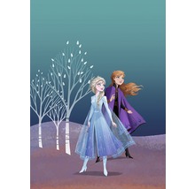 Illustration des sœurs Anna et Elsa de La Reine des neiges