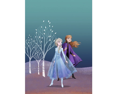 Illustration des sœurs Anna et Elsa de La Reine des neiges