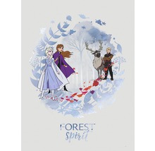 Illustration avec les personnages de La Reine des neiges : Anna, Elsa, Kristoff et le renne Sven dans la forêt.