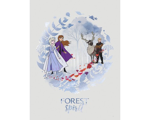 Illustration avec les personnages de La Reine des neiges : Anna, Elsa, Kristoff et le renne Sven dans la forêt.