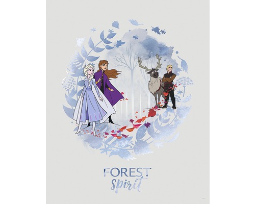 Illustration avec les personnages de La Reine des neiges devant une forêt