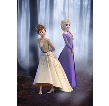 Anna und Elsa aus dem Film Die Eiskönigin in einem Wald