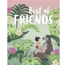 Illustration de Mowgli et Baloo avec l''inscription ''Meilleurs amis''