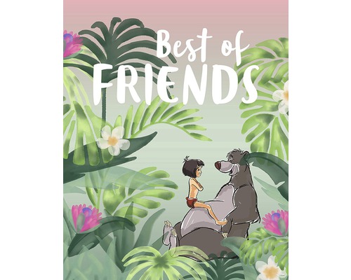 Illustration de Mowgli et Baloo avec l''inscription ''Meilleurs amis''