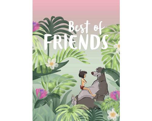 Illustration von Mowgli und Balu mit der Aufschrift Beste Freunde