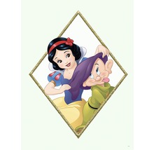 Blanche-Neige et un nain dans un cadre en losange